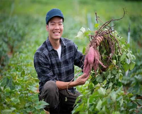 黄金周特惠游戏推荐指南！好玩的日系游戏值得入手！