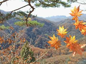 微信赚钱小游戏山海经攻略
